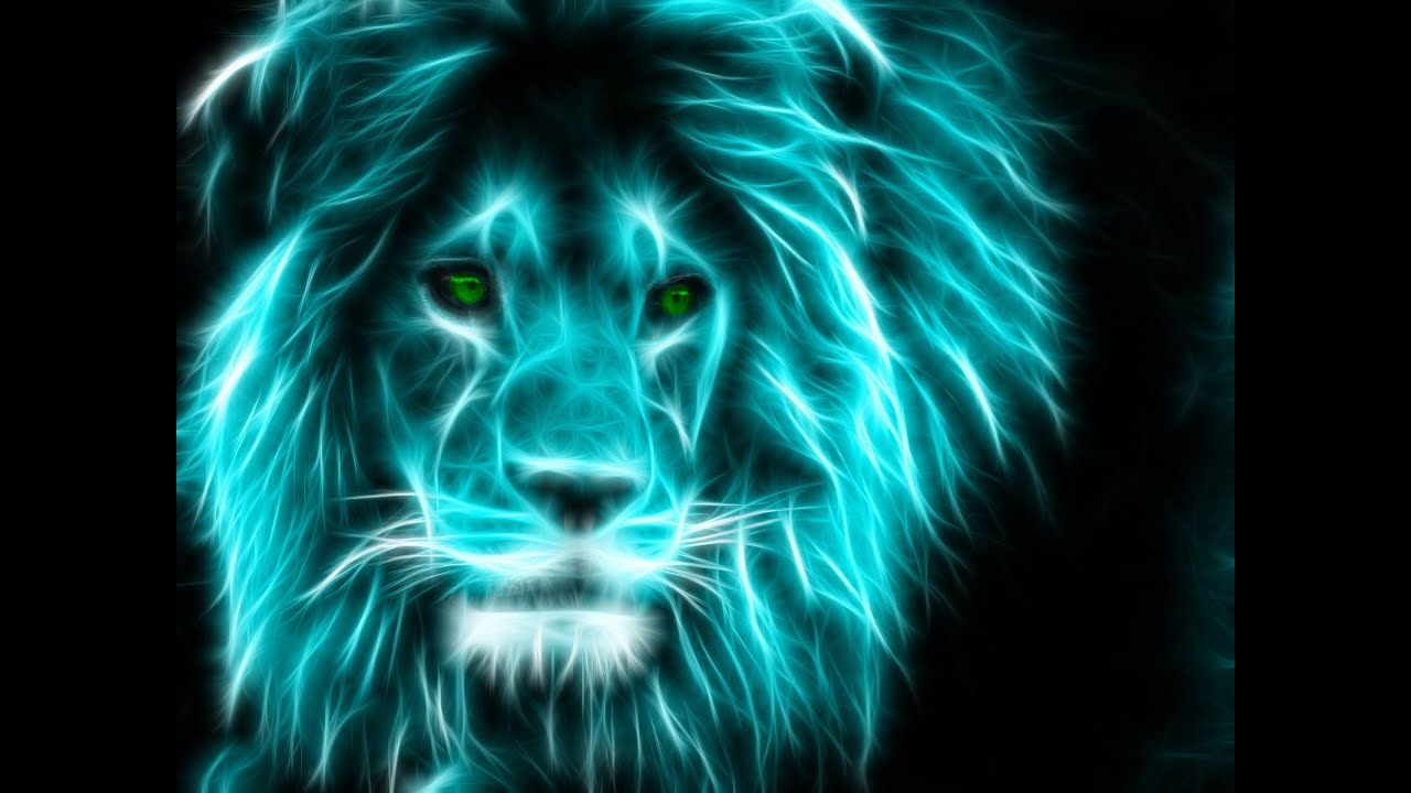 Big Cat Boi